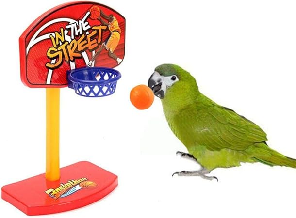 birdie basketball