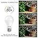 A19 LED Bulb, 60W Equivalent Petronius Soft White 3000K 800lm Non-dimmable LED Light Bulbs, 18-Pack