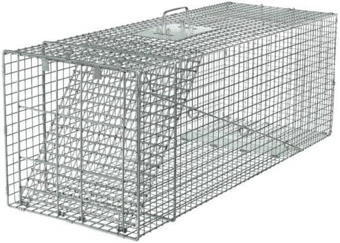 Live Animal Trap Racoon Skunk Rabbit Dog Cat Steel Cage Collapsible Humane Large