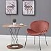 GreenForest Velvet Accent Chairs Modern Large Fabric Shell Chairs for Living Room Leisure Chairs for Bedroom Set of 2, Rose
