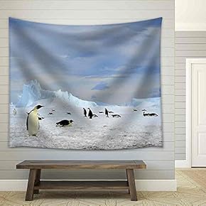 Emperor Penguin Snow Hill, Antarctica 2010 on The Icebreaker Kapitan Khlebnikov - Fabric Wall Tapestry Home Decor - 51x60 inches