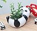 2 PCS Set Cute Cartoon Animal Shaped Succulent Cactus Flower Pot/Plant Pots/Planter/Container for Home Garden Office Desktop Decoration
