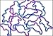 Silly Shaped Rubba Bandz Bracelets Bulk Pack (144 Peices)