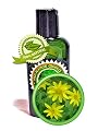Arnica Oil Extract Arnica Montana- 2 oz - 100% Pure and Potent - Anti-inflammatory for Sore Muscles, Bruises, Rheumatoid arthritis, Sprains, and Fractures READ DESCRIPTION- All-Natural and Organic