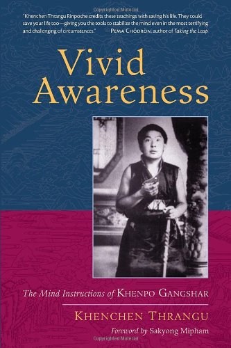 Download Vivid Awareness: The Mind Instructions of Khenpo Gangshar Download Vivid Awareness: The Mind Instructions of Khenpo Gangshar