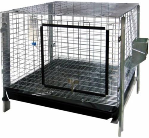 24x24 rabbit cage