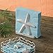 Park Designs Starfish Lunch Nap Holder