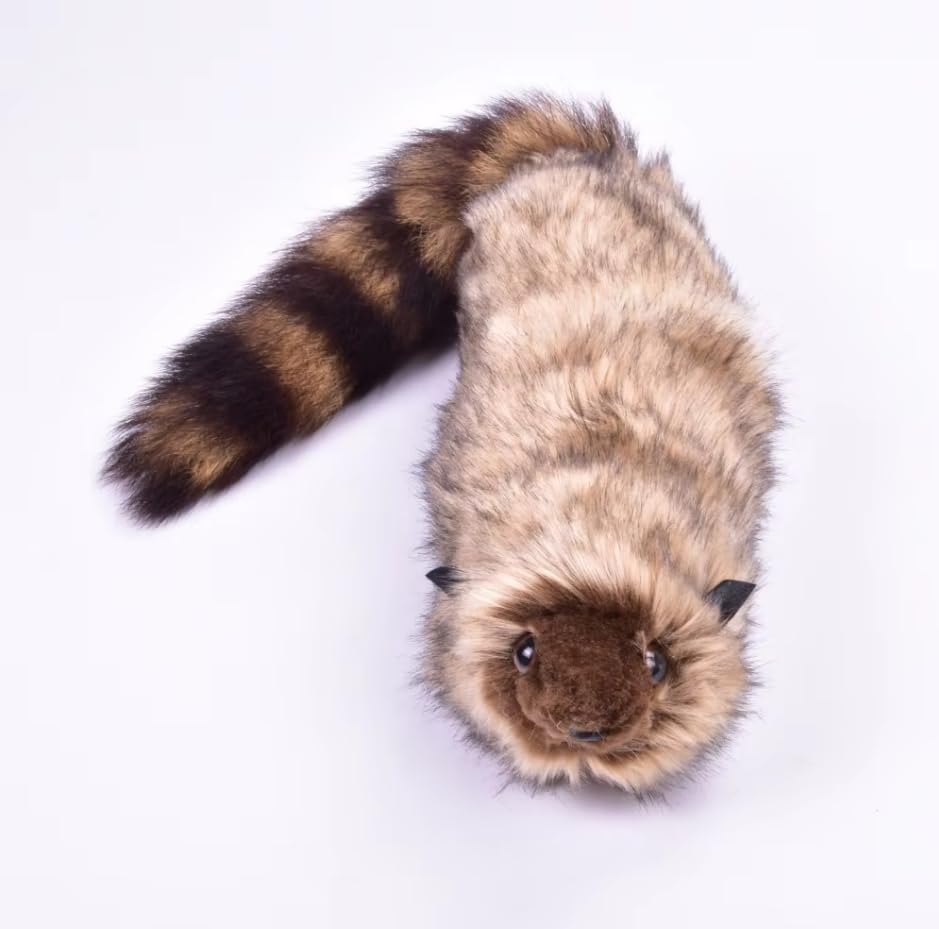 MOMOMAGE The Rocky Raccoon Robbie Magic Tricks Spring Animal Toy Appearing Magic Comedy Stage Street Magic Props Illusions Mentalism Gimmick