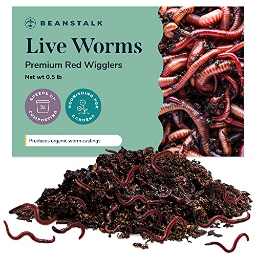 Live Worms (500 Worms, 0.5 lb), Red Wigglers Composting Worms, Earth