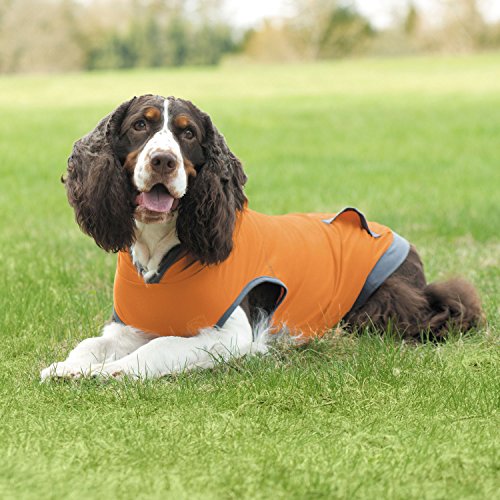 Insect Shield Insect Repellant Lightweight Hoodie for Protecting Dogs from Fleas, Ticks, Mosquitoes & More