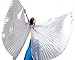 Dance Fairy Belly Dance Isis Wings Opening Dance Costume,Silver