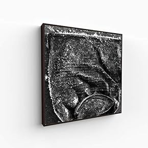 Canvas Wall Art for Living Room, Bedroom Silence Framed Canvas Prints for Home Decoration Ready to Hang - 16x16 inches
