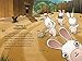The Chickens and the Eggs (Rabbids Invasion)