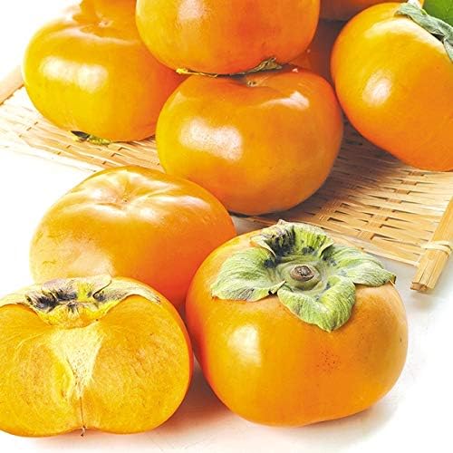 Amazon 国華園 愛知 三重産 次郎柿 約10kg 1箱 国華園 柿 通販 Amazon 国華園 愛知 三重産 次郎柿 約10kg 1箱 国華園 柿 通販
