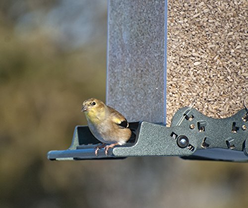 Audubon Vista Squirrel Resistant Bird Feeder  Model 75160