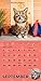Lil Bub 2017 Wall Calendar