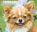 Just Chihuahuas 2020 Box Calendar (Dog Breed Calendar) by 
