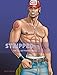Stripped: The Illustrated Male by