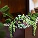SEEKO Artificial Succulents - 14 Pack - Create Realistic Succulent Arrangements, Faux Potted Succulent Decor, and Fake Succulent Planters for Your House or Apartment
