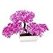 Frjjthchy Mini Artificial Bonsai Tree Plants with Plastic Cement Pots for Home Office Décor (Rose Red)