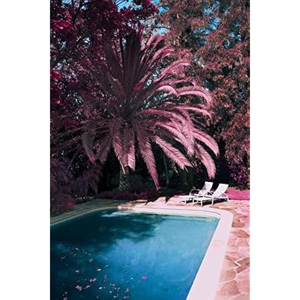 【中古】 b.i /6th single album: hello hello  cd 中古】 b.i /6th single album: hello hello cd B.I.G - Hello