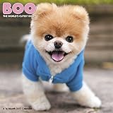 Boo Wall Calendar (2017)