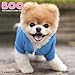 Boo Wall Calendar (2017)