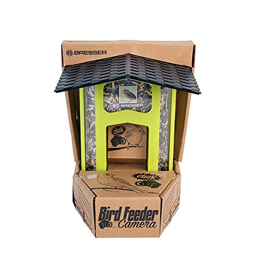 10 Best Bird Feeder Camera Wireless For 2019 Klubem Reviews