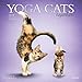 Yoga Cats Together 2018 12 x 12 Inch Monthly Square Wall Calendar with Foil Stamped Cover by Plato, Animals Humor Cats