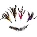 Replacement Feathers 5 Pack, Plus Bonus Soft Furry Tail For Interactive Cat and Kitten Toy Wands, Natural Feathers