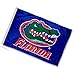 College Flags & Banners Co. Florida Gators Golf Cart and Boat Flag