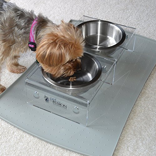 PetFusion SinglePod Dog & Cat Feeder [Acrylic w/Embedded Magnets; Extra 3rd SS Bowl]. (Short, Set of - //medicalbooks.filipinodoctors.org