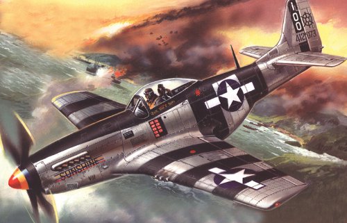 ICM Models Mustang P-51K Building Kit