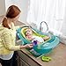 Fisher-Price Bath Tub, Rainforest Friends