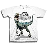Jurassic World Boys' Big 2 Blue Raptor Short Sleeve T-Shirt, White, M