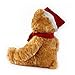 WILDREAM Plush Bear Stuffed Animals, First Teddy Bear Plush for Boys Girls Soft Gifts for Birthday, 11 Inches (Honey Brown)
