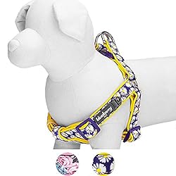 Blueberry Pet 2 Patterns Soft & Comfy Step-in