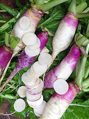 Turnip Purple Top White Globe up to 20 Seeds
