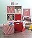 DII Collapsible Polyester Storage Cube, Chevron, Rust, Large