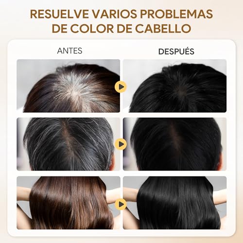 Black Hair Dye Shampoo 3 in 1, Shampoo para Canas con Tinte, Champú para Teñir el Cabello Negro, Cobertura de Canas con Ingredientes Herbales, 500ml (Negro)