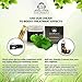 Centella Derma Blemish Soothing Face & Eye Cica Cream- Ideal Moisturizer For Sensitive Skin, Anti Aging, Day & Night Cream- With Beeswax, Vitamin E, Flower Extract (60ml), 2.0 Fl. Oz- ZustBeauty