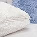 Homey COZY Faux Fur Throw Pillow Cover,Ivory Double-Side Luxury Fluffy Super-Soft Plush Fur Decorative Couch Cushion Pillow Case 20 x 20 Inch, Cover Only