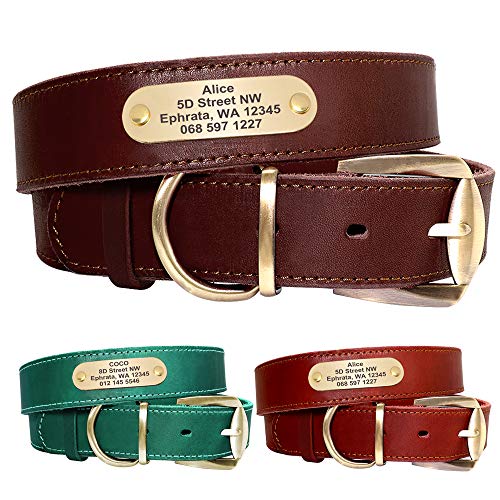 Didog Genuine Leather Dog Collars with Engraved Nameplate, Personalized