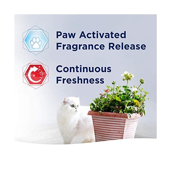 Ever-Clean-Multiple-Cat-Litter-10-Litre-Scented Ever Clean Multiple Cat Litter, Scented ,Grey, 10 Litre