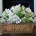 Coffee Themed Decorative Wooden Storage Display Box for Flowers / Plants / Jewelry / Supplies