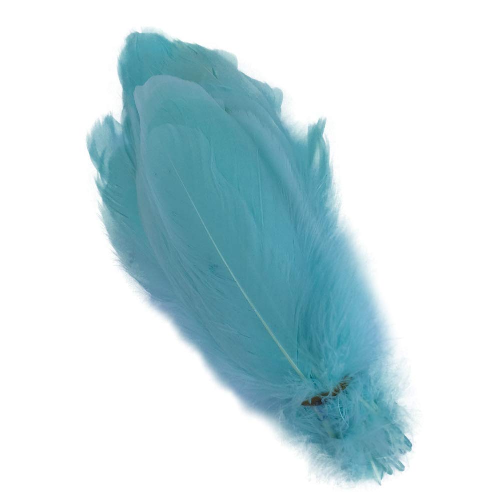 Sowder Natural Goose Feathers Clothing Accessories Pack of 100(Mint Green)