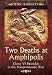 Two Deaths at Amphipolis: Cleon vs Brasidas in the Peloponnesian War by