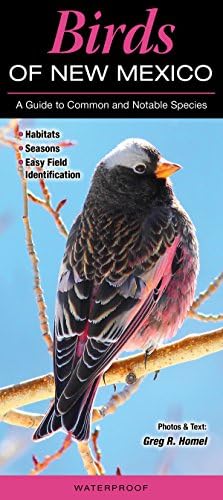 Birds of the Forest: Lansdowne, James Fenwick: 9780884860273