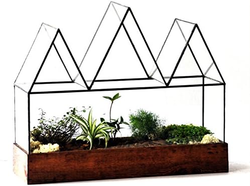 Large Glass Terrarium Fortune Case