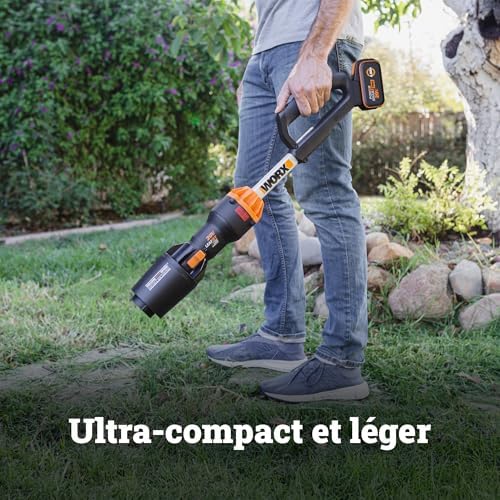 Souffleur Brushless sans Fil 20V WG543E.9